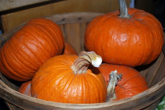 Liberty Pumpkins Liberty Pumpkins