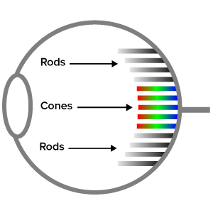 Inner Eye Workings
