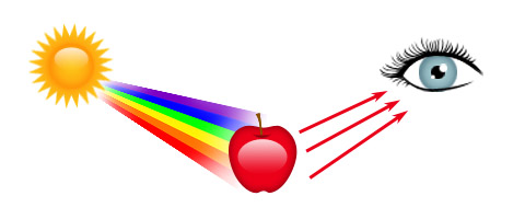 How eye sees color