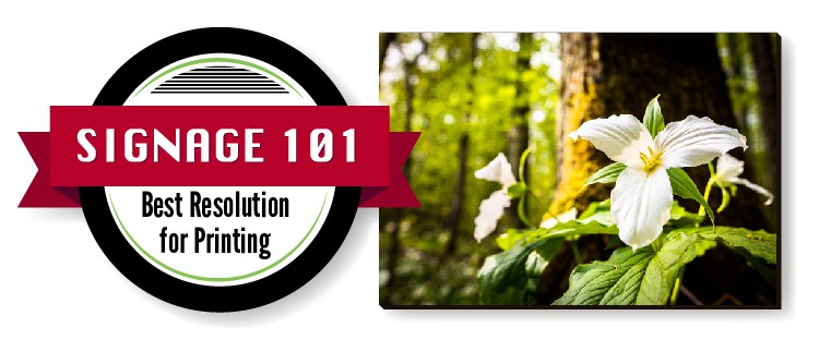 The Best Resolution for Printing Photos, Banners, Signs and More – Signage 101