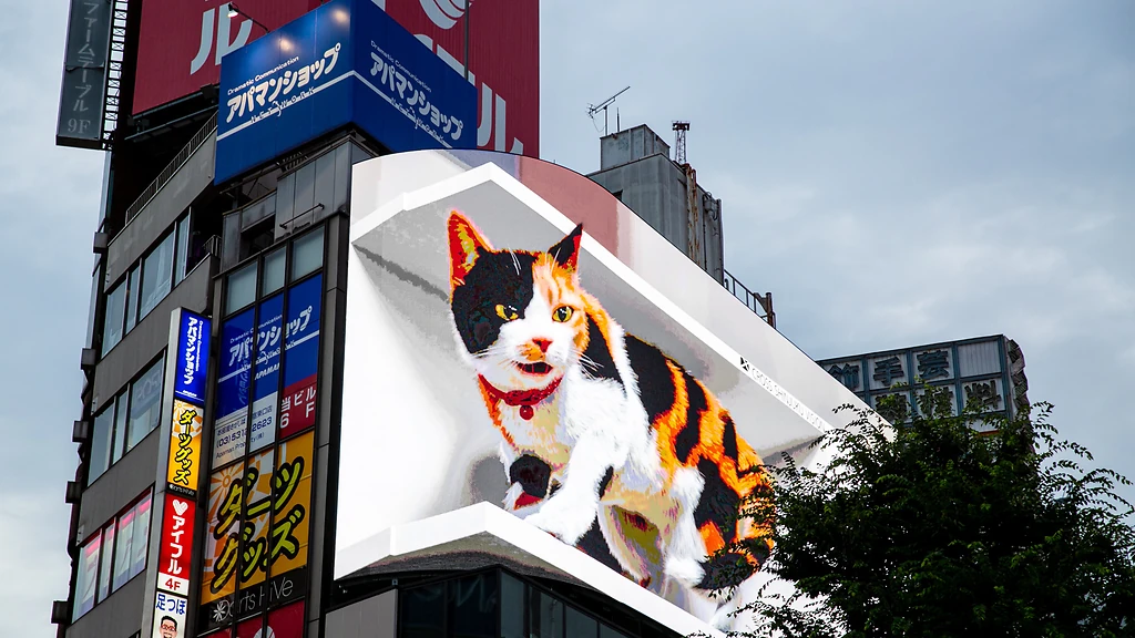 Cat 3D LED Billboard