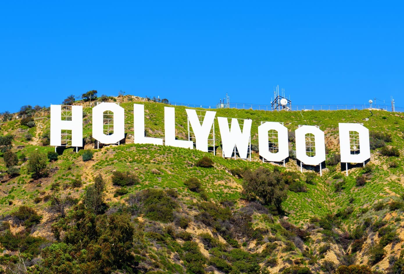 Famous Signs Across The 50 States