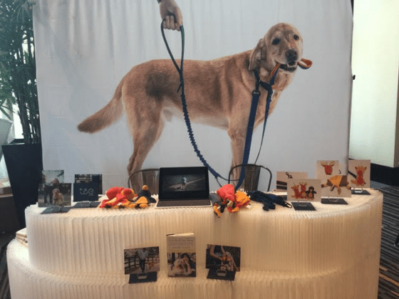 We For Dogs We Leash Banner